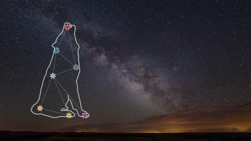 link to UNM Framework for Teaching & Learning Success